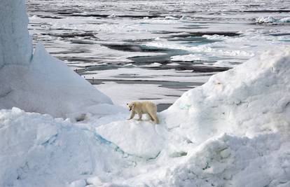 Ruski Arktik zabilježio rekordne temperature: Čak 38 stupnjeva
