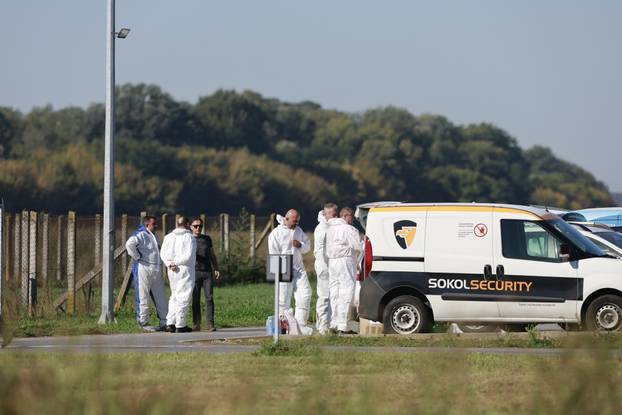 Sokolovac: Kreće eutanazija svinja, uvode se novi sigurnosni protokoli