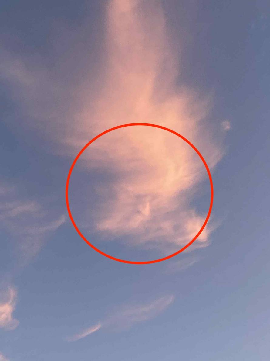 Head-of-state in the clouds! President Donald Trump's face appears in the sky