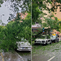 Nekoliko intervencija zbog palih drveća u Zagrebu: U Martićevoj ulici jedno je palo na automobil