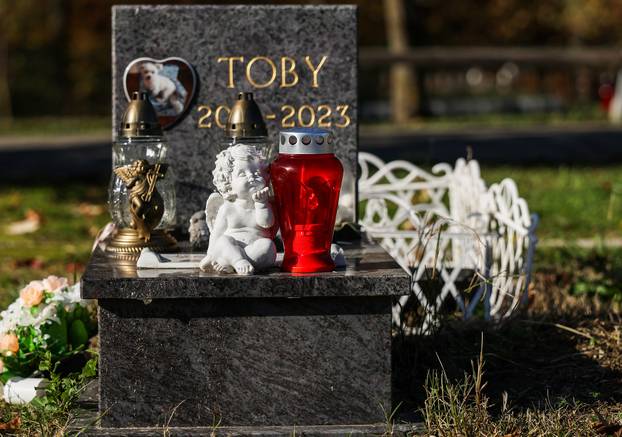 Zagreb: Groblje kućnih ljubimaca u Dumovcu obišao je jedino jedan mačak