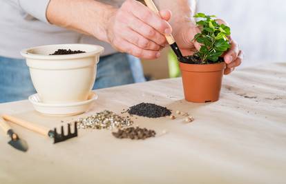 Napravite kućni vrt za bilje u par koraka i sa super alatima