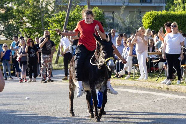 Pula: Održana je tradicionalna 55. Trka na tovari