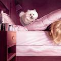 Savjeti za bolji san: Alarm za spavanje i jutarnja tjelovježba