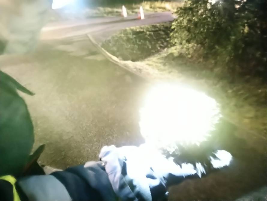 Vatrogasci spasili ježa iz vatre: 'Bio je sav sklupčan i uplašen'