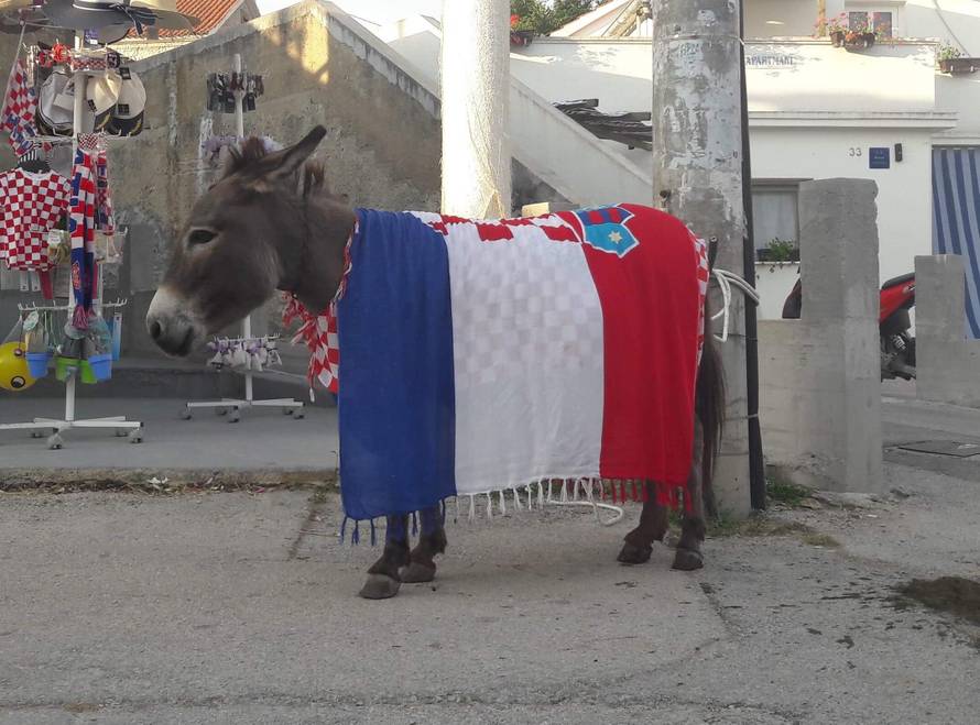 I magarica slavi: U kafiću ju ukrasili hrvatskom zastavom