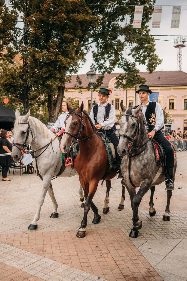 Dječje vinkovačke jeseni: Spoj folklora i slavonskih pjesama