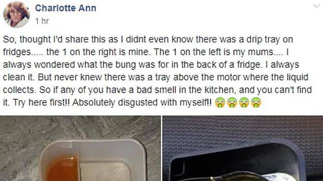 Otkrila je posudu za kondenzat u hladnjaku i ostala šokirana