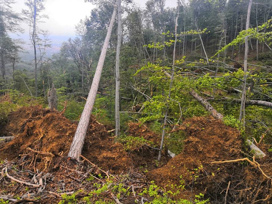Prizor katastrofe: Oluja srušila stotine stabala na Medvednici
