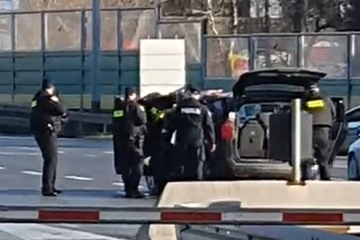 Snimka policijske akcije na Lučkom: Priveli muškarca