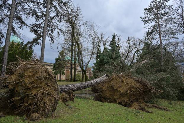 Zagreb: U nevremenu teško  oštećeno gradsko groblje Mirogoj