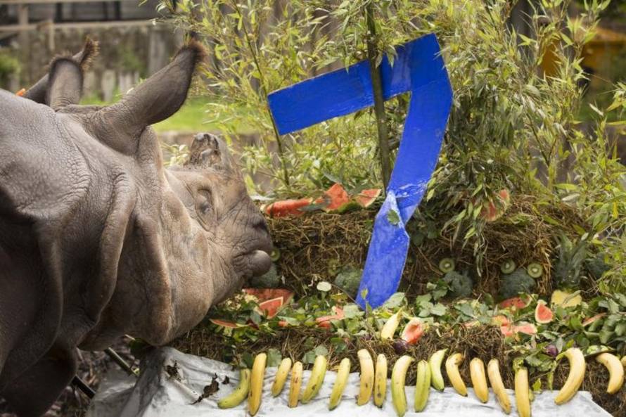 News Syndication/PIXSELL