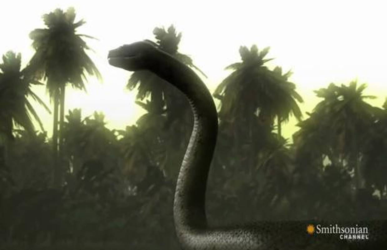 Video priča: Ovih zmija bojali su se i dinosauri! Pogledajte