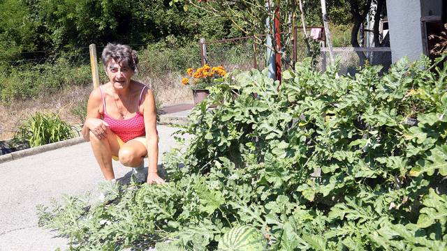 Nadine (73) lubenice pužu po betonu u Tuheljskim toplicama