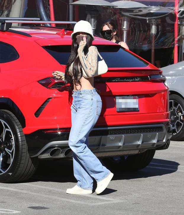 EXCLUSIVE: Kylie Jenner turns heads in a crop-top and denim jeans as she hits up 