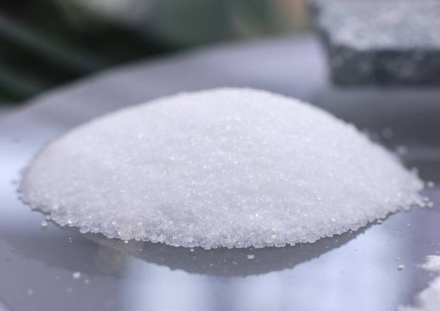 China International Import Expo in Shanghai