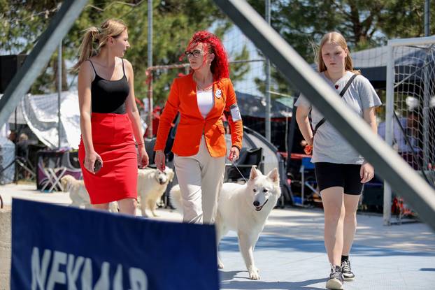 Zaton: Međunarodna izložba pasa pod nazivom CACIB Zadar 2025