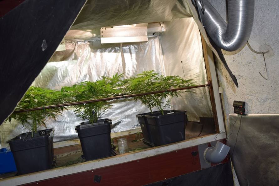 Na području Samobora pronašli improvizirani laboratorij sa šest stabljika marihuane te oružje