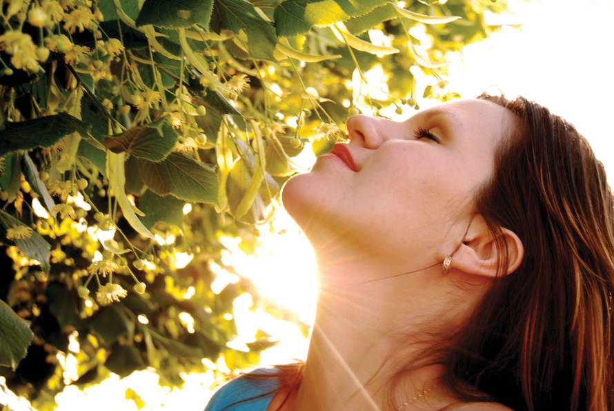 Sezona je lipe, iskoristite sve njezine blagodati za zdravlje i ljepotu - tu je i top 20 recepata