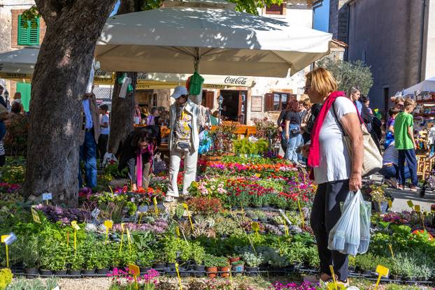 Svetivinčenat: Fešta od Rožic