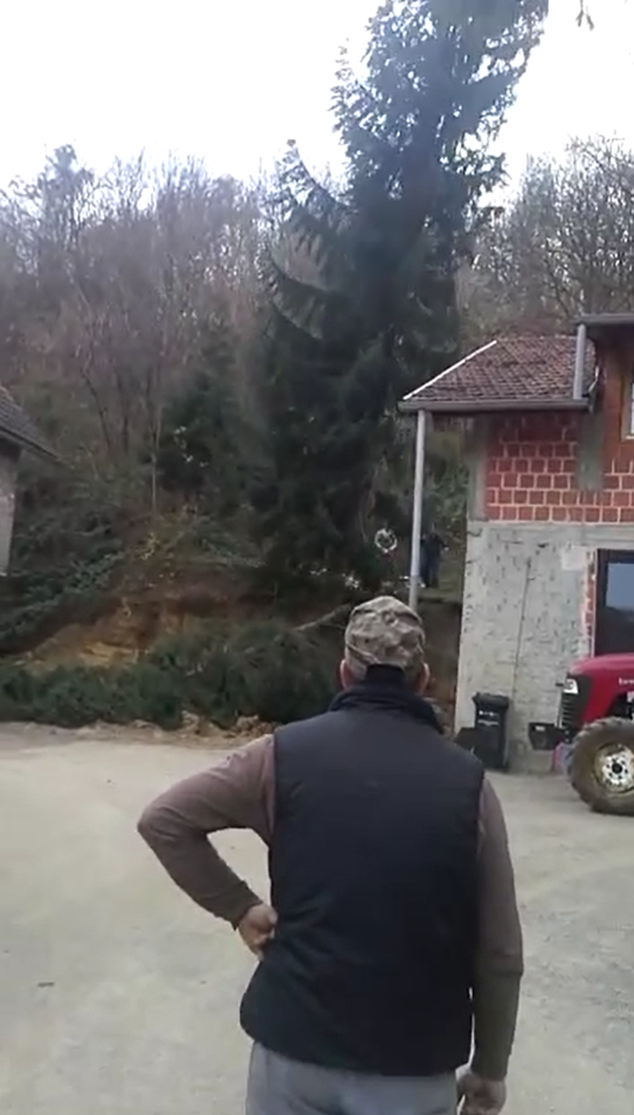 'Jesam ti rekel': Prijatelj rušio stablo i srušio mu ga na kuću!