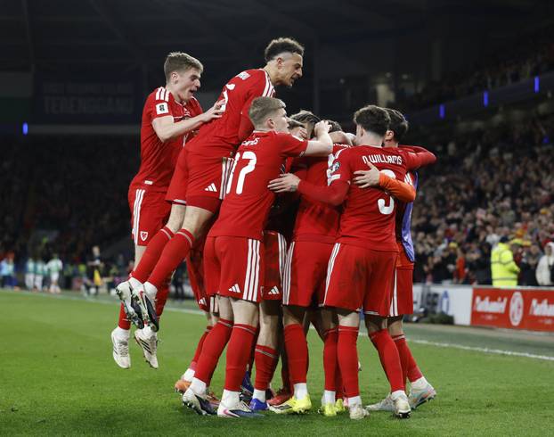 FIFA World Cup - UEFA Qualifiers - Semi Final - Wales v Bosnia and Herzegovina