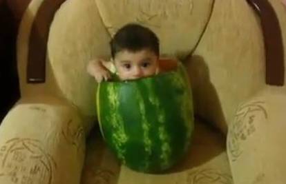 Dječaćić je sjeo u veliku lubenicu i lagano grickao