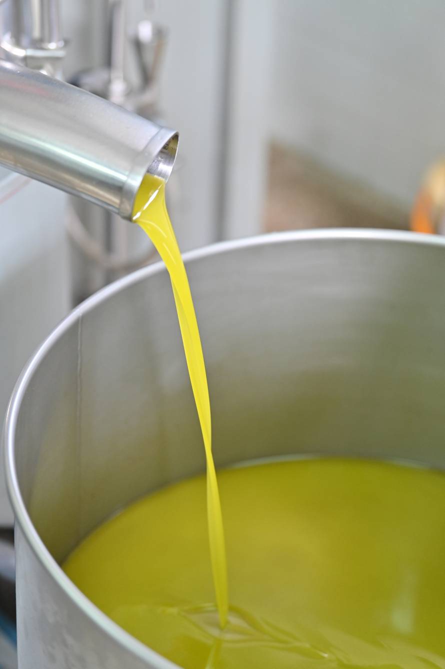 Proces proizvodnje maslinovog ulja u uljarskoj zadruzi Igrane