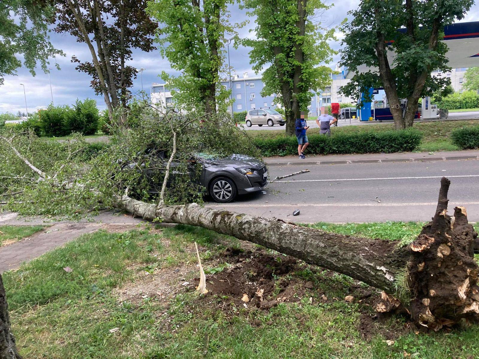 Vjetar ruši stabla u Zagrebu: 'Palo mi je pred očima, moglo je i na mene. Vozač auta je dobro'