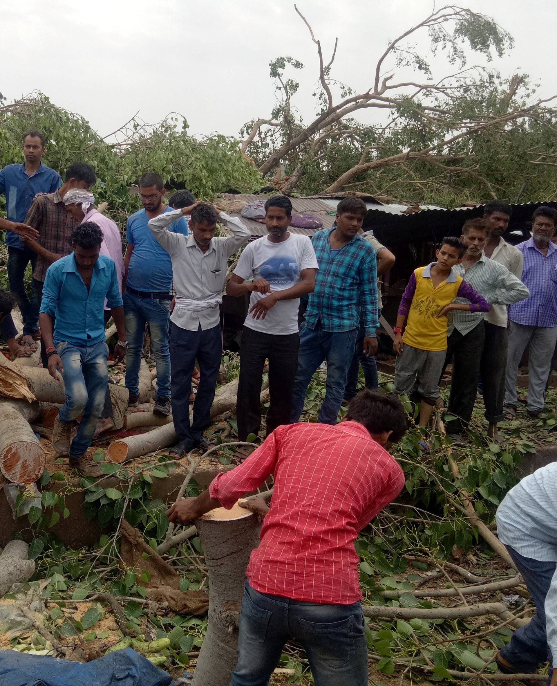 People remove the logs of uprooted trees from a road after strong winds and dust storm in Alwar