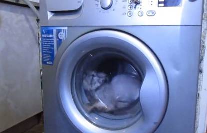 Bolesnici: 'Neposlušnu'  macu kaznili pranjem u perilici rublja