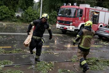 Zagreb: Palo stablo na Maksimirskoj, blokiran promet, vatrogasci na terenu