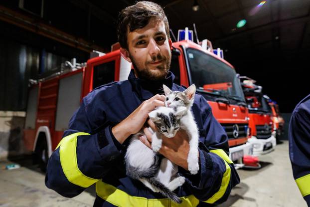 Vrgorac: Vatrogasci spasili 4 mačiča iz šahta gdje su ih pronašli ostavljene