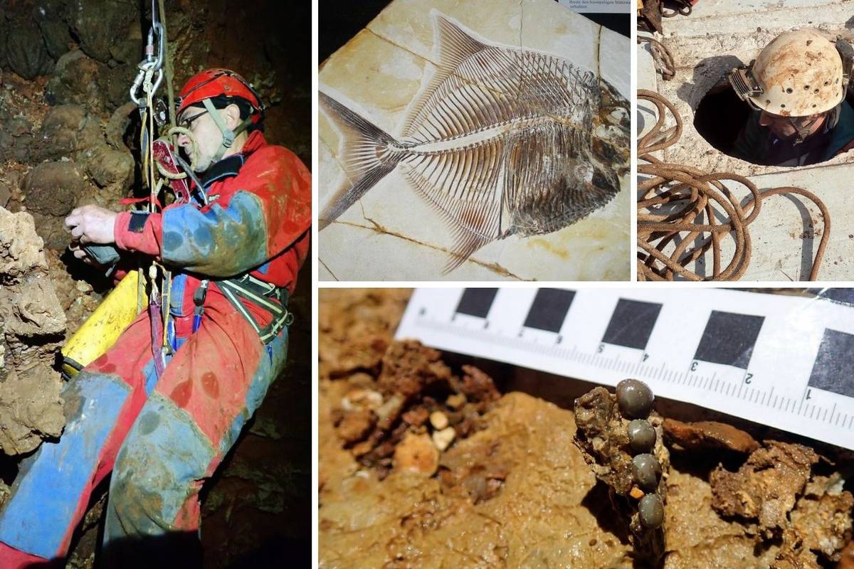 Veliko otkriće s Korčule: Upecali fosil ribe star 60 mil. godina