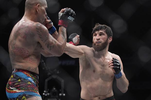 UFC 313 Mixed Martial Arts