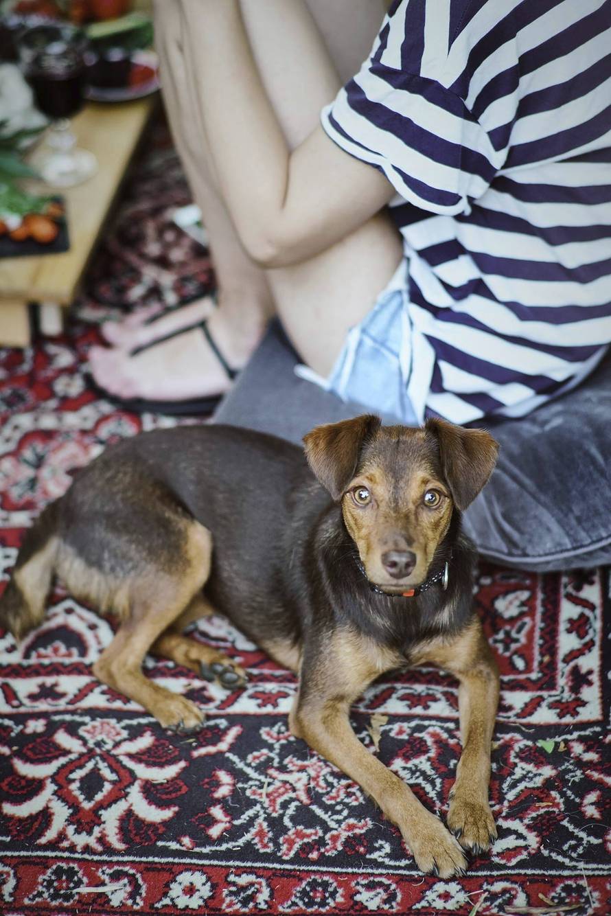 Zagrebačka piknik oaza u kojoj ćete moći uživati svakog petka
