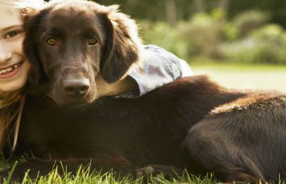 Zaštitite psa od krpelja i zaraze opasnom piroplazmozom