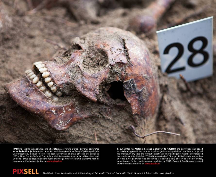 Grgo Jelavić/PIXSELL