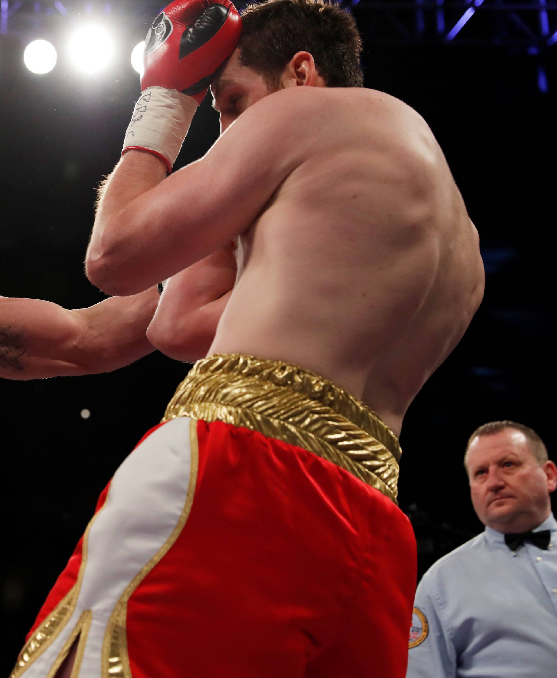 Alexander Povetkin vs David Price - WBA Inter-Continental & WBO International Heavyweight Titles