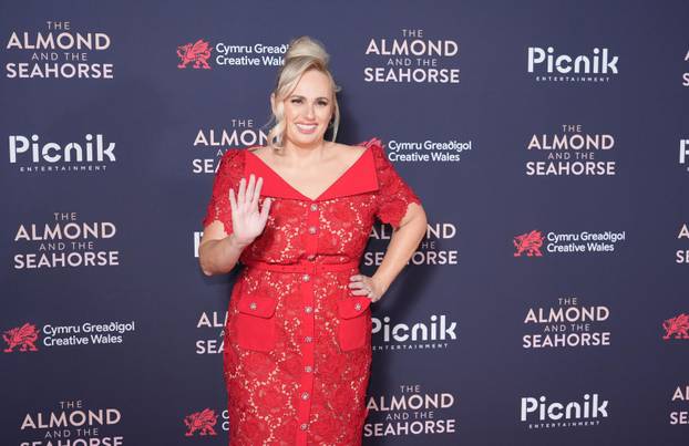 UK premiere of The Almond and the Seahorse - London