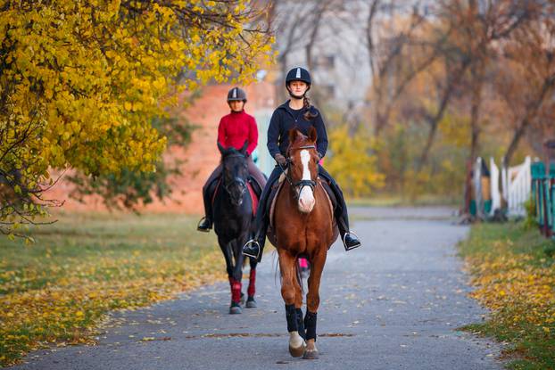Group,Of,Teenage,Girls,Riding,Horses,In,Autumn,Park.,Equestrian
