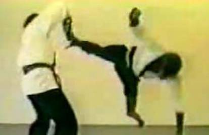 Majmun s trenerom demonstrira kung fu
