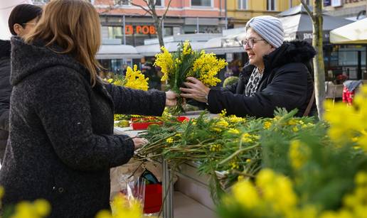 FOTO Sve u &zcaron;utom: Zagreb obilje&zcaron;io Dan mimoza i borbu protiv raka vrata maternice