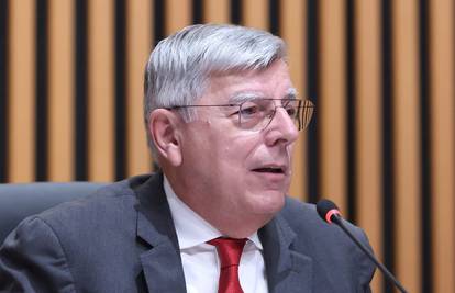 Željko Reiner: Kod uhićenja Antolić Vupore su razvidni dvostruki kriteriji oporbe