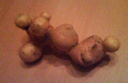 Kopala u vrtu pa pronašla krumpir u obliku svemirca