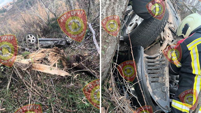 FOTO Vozač u Istri prepolovio drvo pa završio s autom u jarku