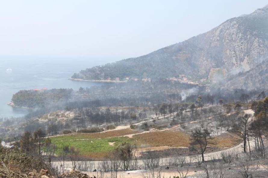 Grgo Jelavić/PIXSELL