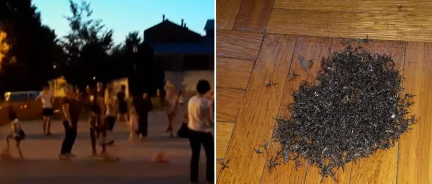 'Ne možemo izlaziti, zatvoreni smo u kuću. Najgore je djeci...'