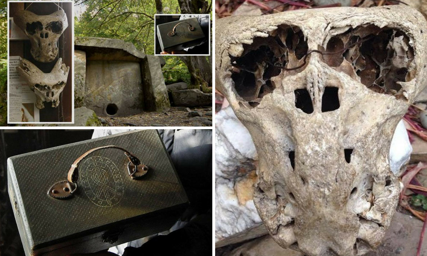 U Rusiji našli nacistički kovčeg s lubanjama "nepoznatih bića"