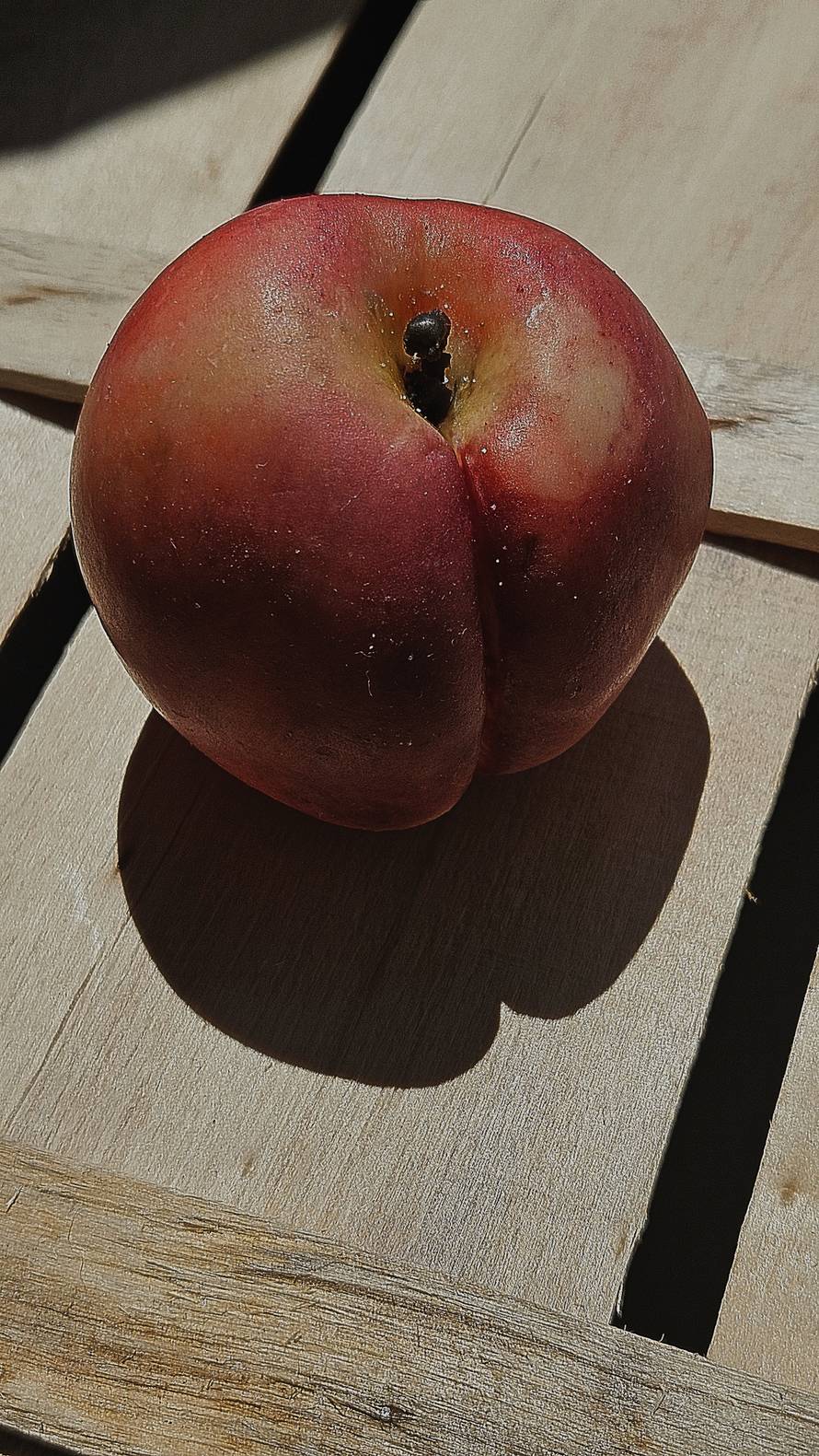 Kristina iz Vinkovaca pretvara vosak u savršeno realistične voćke: 'Ljudi ih obožavaju'